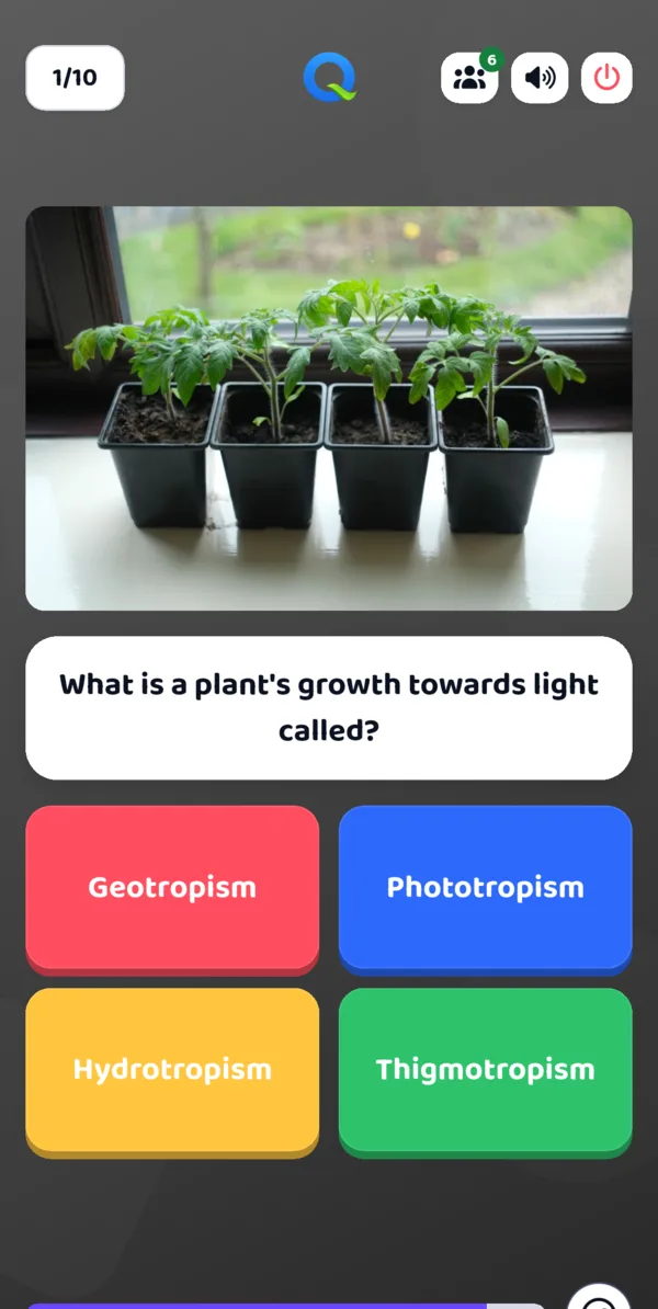 Live presentation question: image question with four colored options