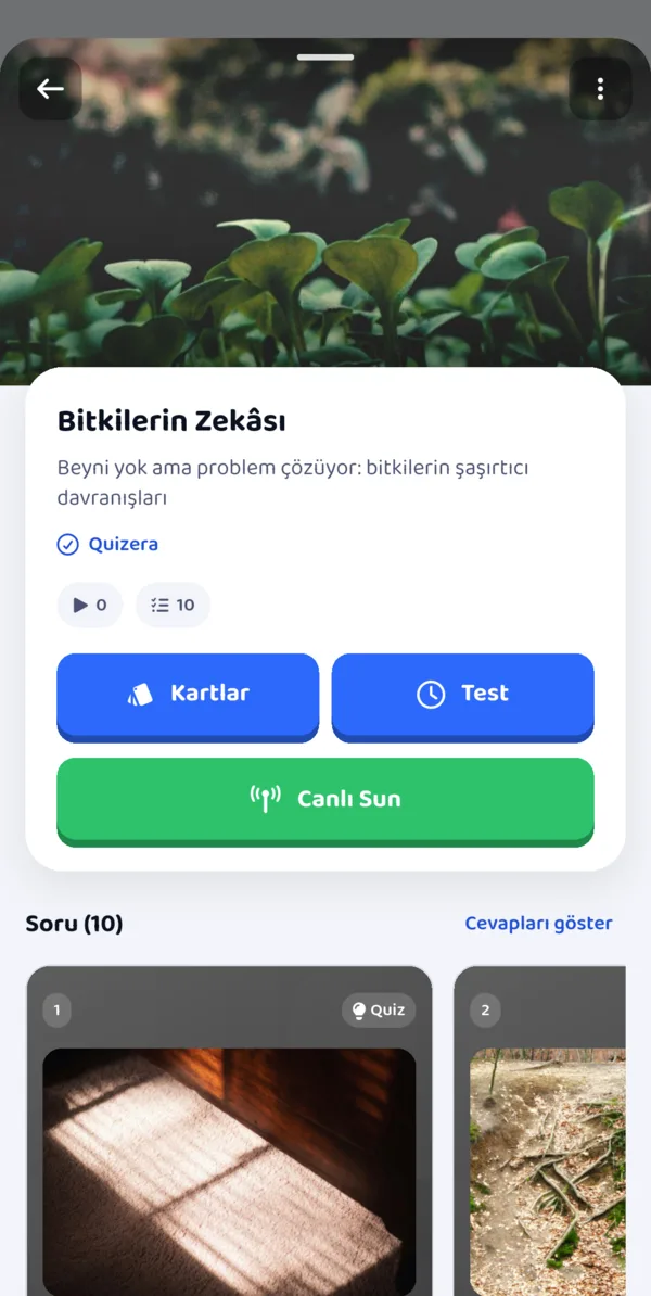 Quiz detay ekranı: Kartlar, Test ve Canlı Sun düğmeleri