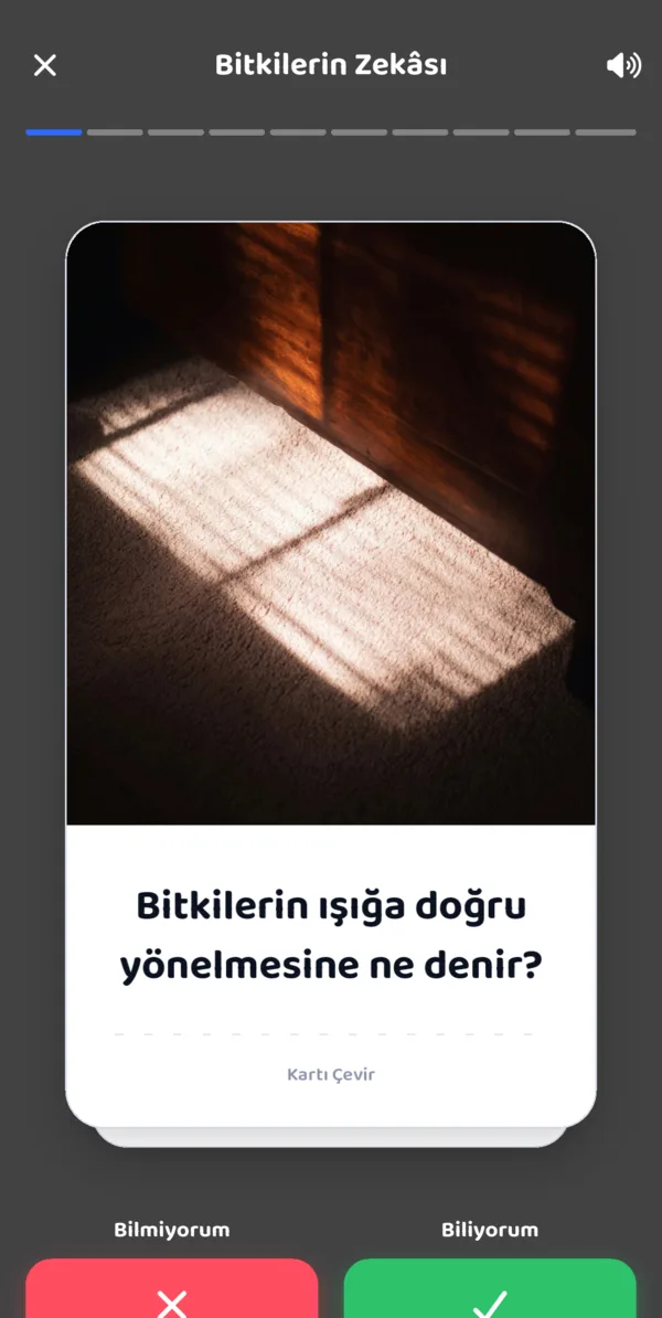Bilgi kartı modu: soru kartı ve Biliyorum / Bilmiyorum düğmeleri