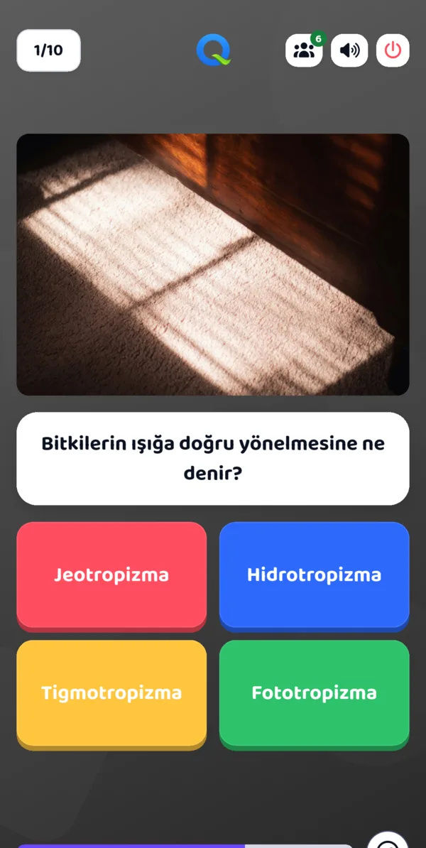Canlı sunum sorusu: görselli soru ve dört renkli seçenek