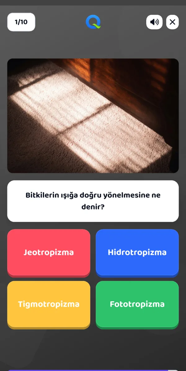Test modu: dört seçenekli soru ve süre çubuğu